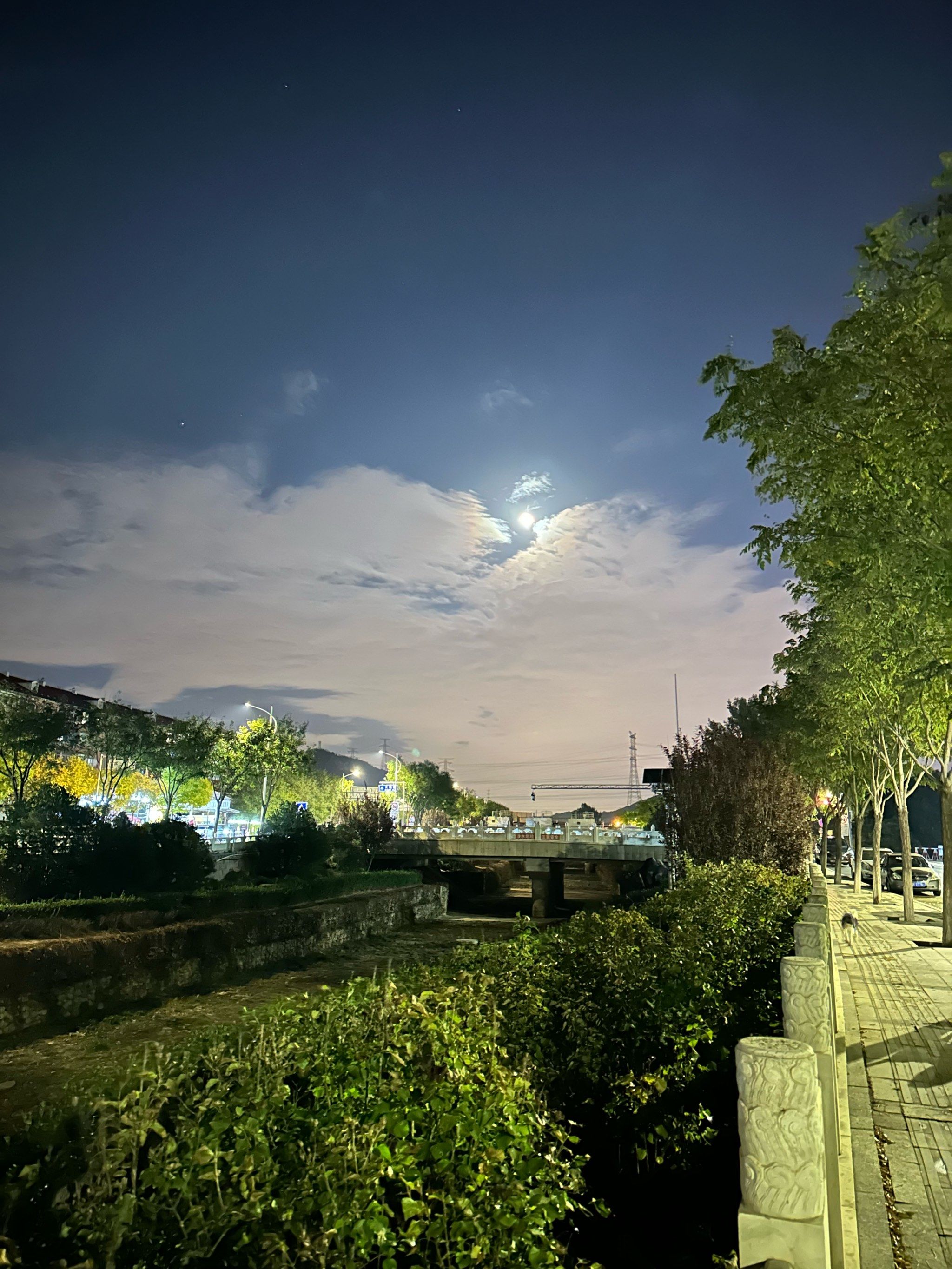 夜幕下的景色非常美,夜晚🎑漫步在街头很暇意