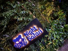 -夜间野生动物园
