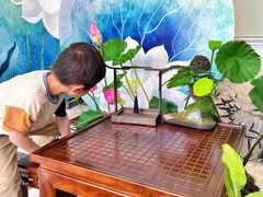 -中国福利会少年宫