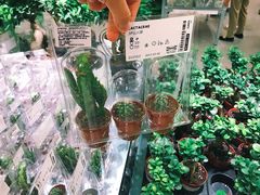 -宜家家居(哈尔滨商场店)