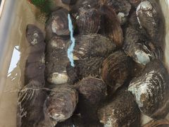 -西江河鲜·趣苑酒楼(鼎湖店)