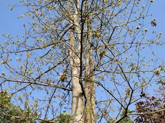 -广东茂名森林公园