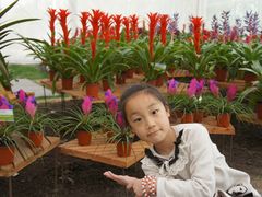 -上海鲜花港