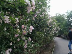 -白鹭湾湿地公园