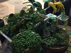 -84那年咖啡馆(李沧万达店)