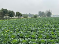 -中国天府农业博览园