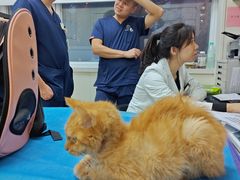 -美联众合动物医院·24h京西诊疗中心