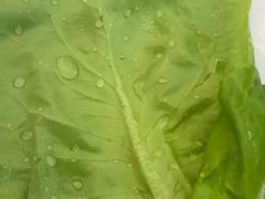 -幸福的烤包子·新疆菜