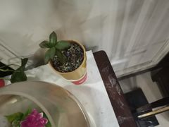 -裕和堂中医推拿艾灸(太古汇臻品店)