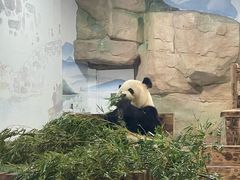 -无锡动物园·太湖欢乐园