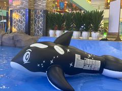 -水王国温泉水世界