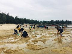 -北海金海湾红树林生态旅游区