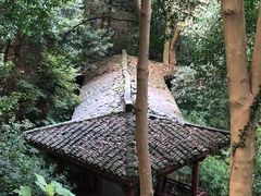 -杭州少年儿童公园