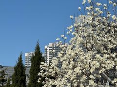 -黑石礁公园