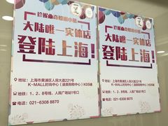 -珍妮曲奇聪明小熊(上环店)