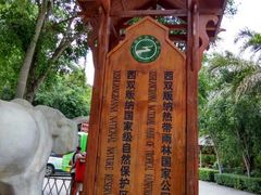 -野象谷景区