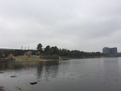 -美兰湖景区