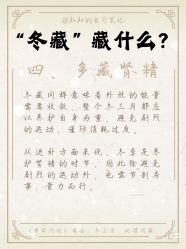 点击看大图 -玛莲朵·海菲秀冰珀科