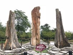 -金钉子远古世界景区