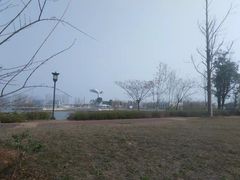 -九龙湖公园