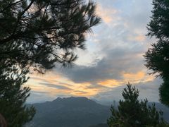 -重庆睡佛山森林公园