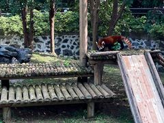 -扬州市茱萸湾风景区
