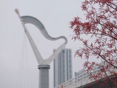 -厦门园林博览苑