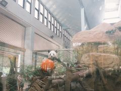 -成都动物园