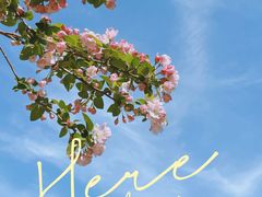 -海棠花溪(元大都城垣遗址公园)