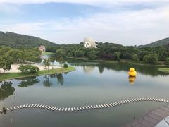 -上海佘山世茂艾美酒店