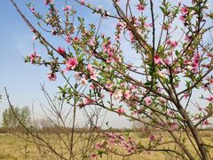 -汉长安城未央宫国家考古遗址公园