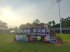 -黄陂区野村谷景区