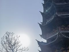 -龙华素斋(龙华路店)