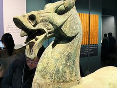 -广西壮族自治区博物馆