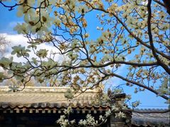-潭柘寺景区