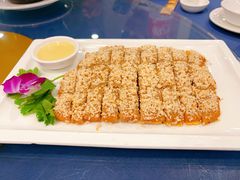 -金龙寨(龙城路店)