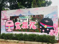 -天适樱花悠乐园
