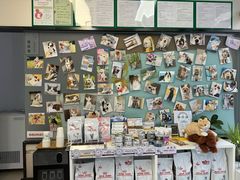 -爱妮康宠物医院·干细胞免疫细胞·肿瘤·心脏(张江店)