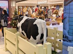 -红星前进面包牛奶公司(君太店)