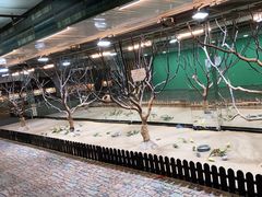 -上海大自然野生昆虫馆(东方明珠·爬宠昆虫探索中心)