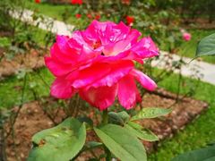 -人民公园(罗湖区)