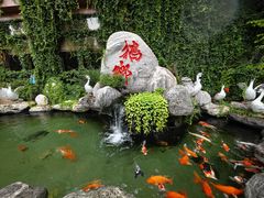 -昌隆•家家鹅乡•海南菜老字号(琼海店)