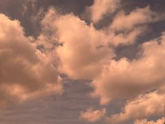 -胜华驾校·小猫学车(银都店)