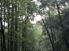 -虎跑公园
