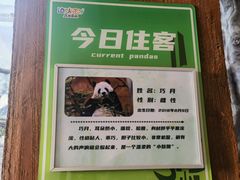-乐和乐都主题乐园