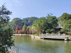 -广州市帽峰山景区