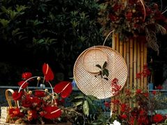 -怪咖·joker陈楠