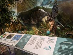 -湖南省地质博物馆