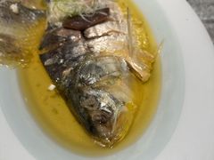 鸡油花雕蒸鲥鱼-蘭心·臻品(瑞虹太阳宫店)