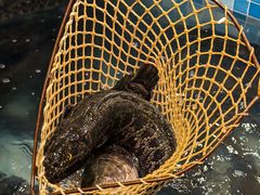 -九寨沟石锅鱼(沣峪口二十年店)